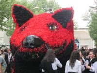 Umzugswagen beim Studienabschluss