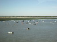 Muschelzüchter am Tejo