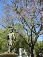 Evora: Vasco da Gama und Jacarandabaum