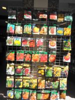 Guimarães Samenhandlung 