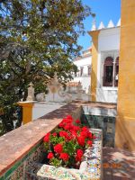 Sintra Palácio Nacional 2