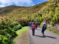 Wanderung zu den 25 Quellen