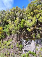 Wanderung zu den 25 Quellen