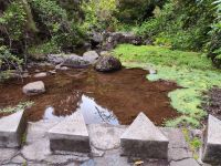 Wanderung zu den 25 Quellen