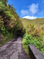 Wanderung zu den 25 Quellen