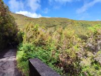 Wanderung zu den 25 Quellen