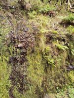 Wanderung zu den 25 Quellen