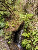 Wanderung zu den 25 Quellen