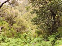 Wanderung zu den 25 Quellen