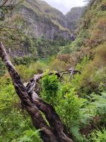 Wanderung zu den 25 Quellen