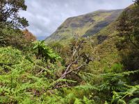 Wanderung zu den 25 Quellen