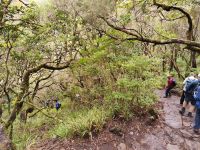 Wanderung zu den 25 Quellen
