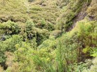 Wanderung zu den 25 Quellen