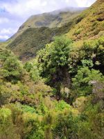 Wanderung zu den 25 Quellen