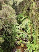 Wanderung zu den 25 Quellen