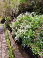 Wanderung zu den 25 Quellen