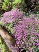 Wanderung zu den 25 Quellen