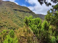 Wanderung zu den 25 Quellen