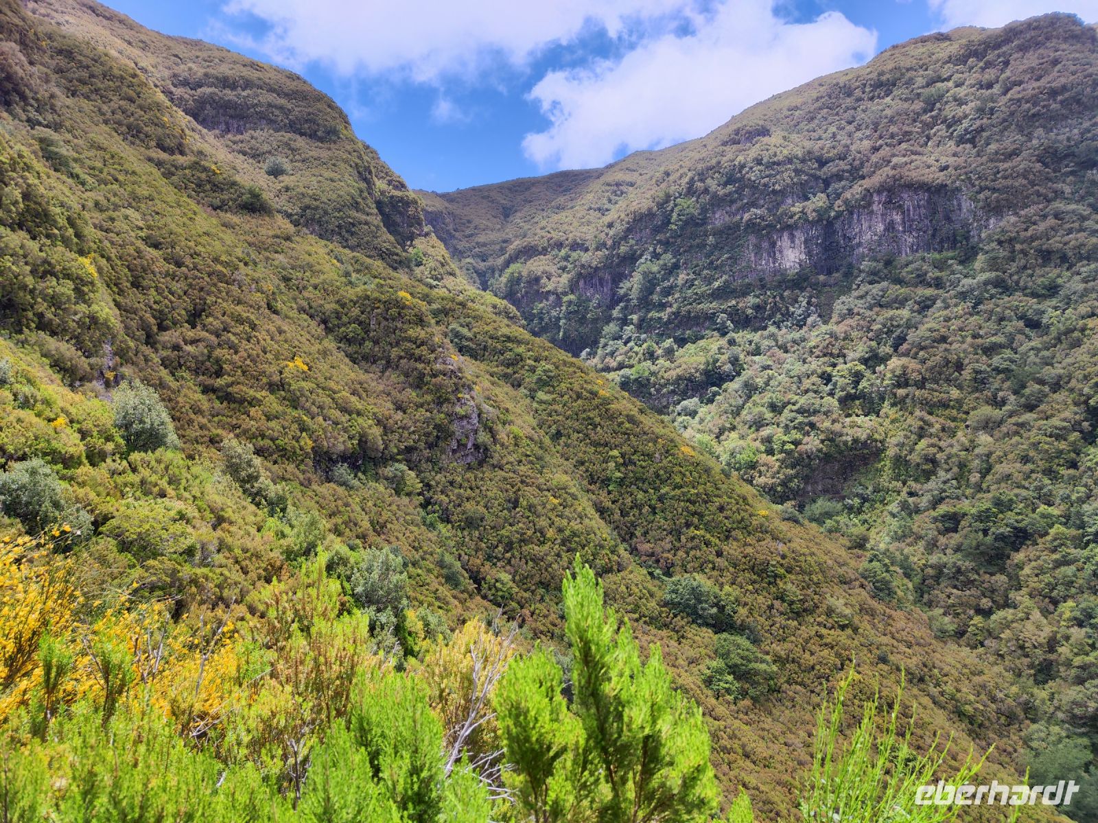 Wanderung zu den 25 Quellen