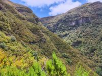 Wanderung zu den 25 Quellen