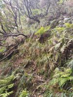 Wanderung zu den 25 Quellen