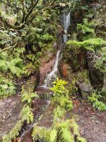 Wanderung zu den 25 Quellen