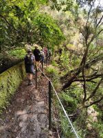 Wanderung zu den 25 Quellen