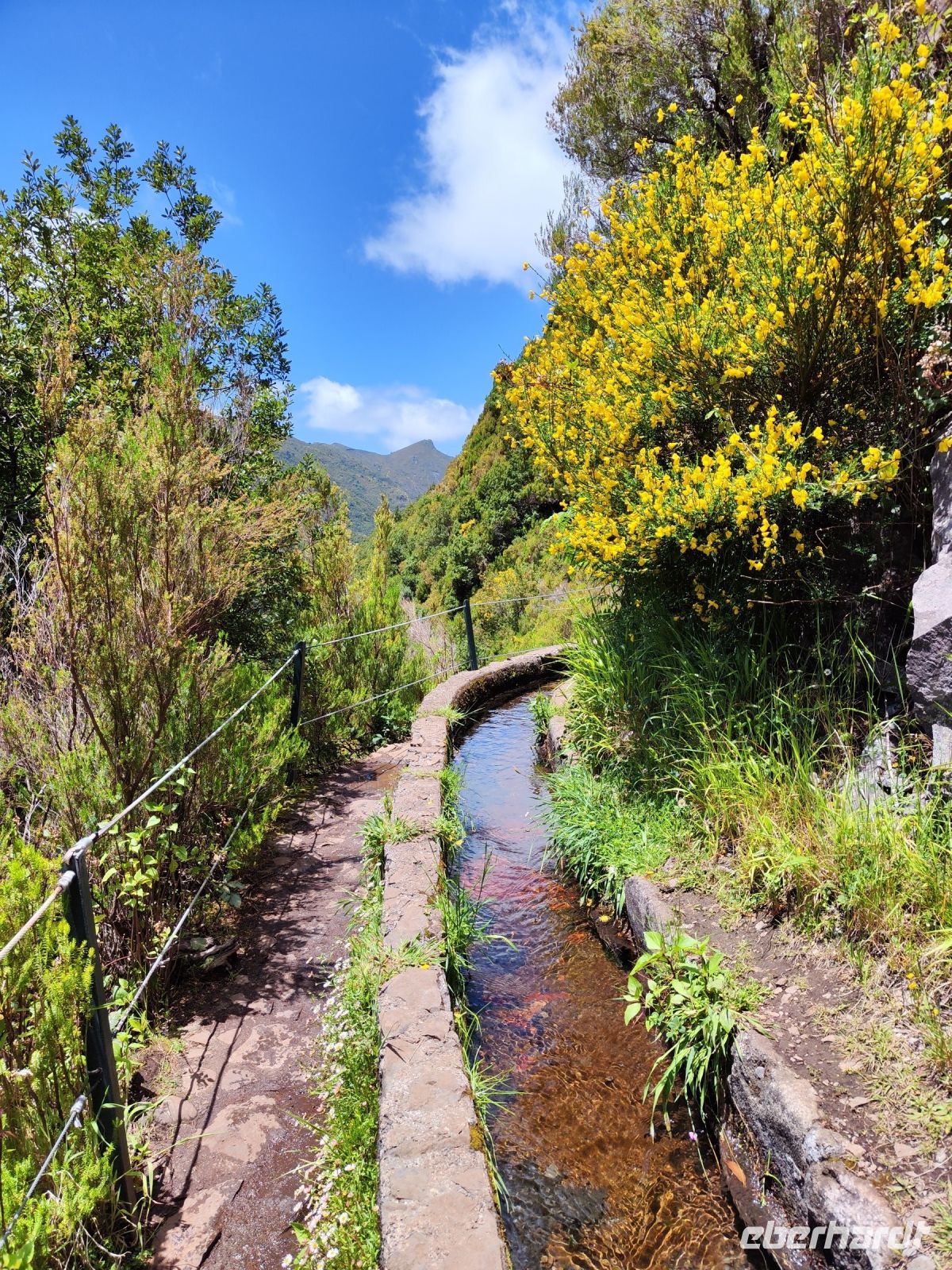 Wanderung zu den 25 Quellen