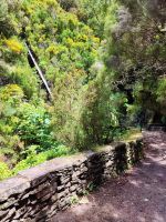 Wanderung zu den 25 Quellen