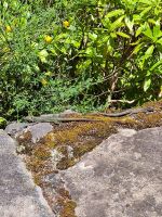 Wanderung zu den 25 Quellen