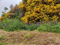 Wanderung zu den 25 Quellen