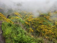 Wanderung zu den 25 Quellen