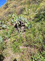 Aussichtspunkt mit Blick auf Magdalena do Mar