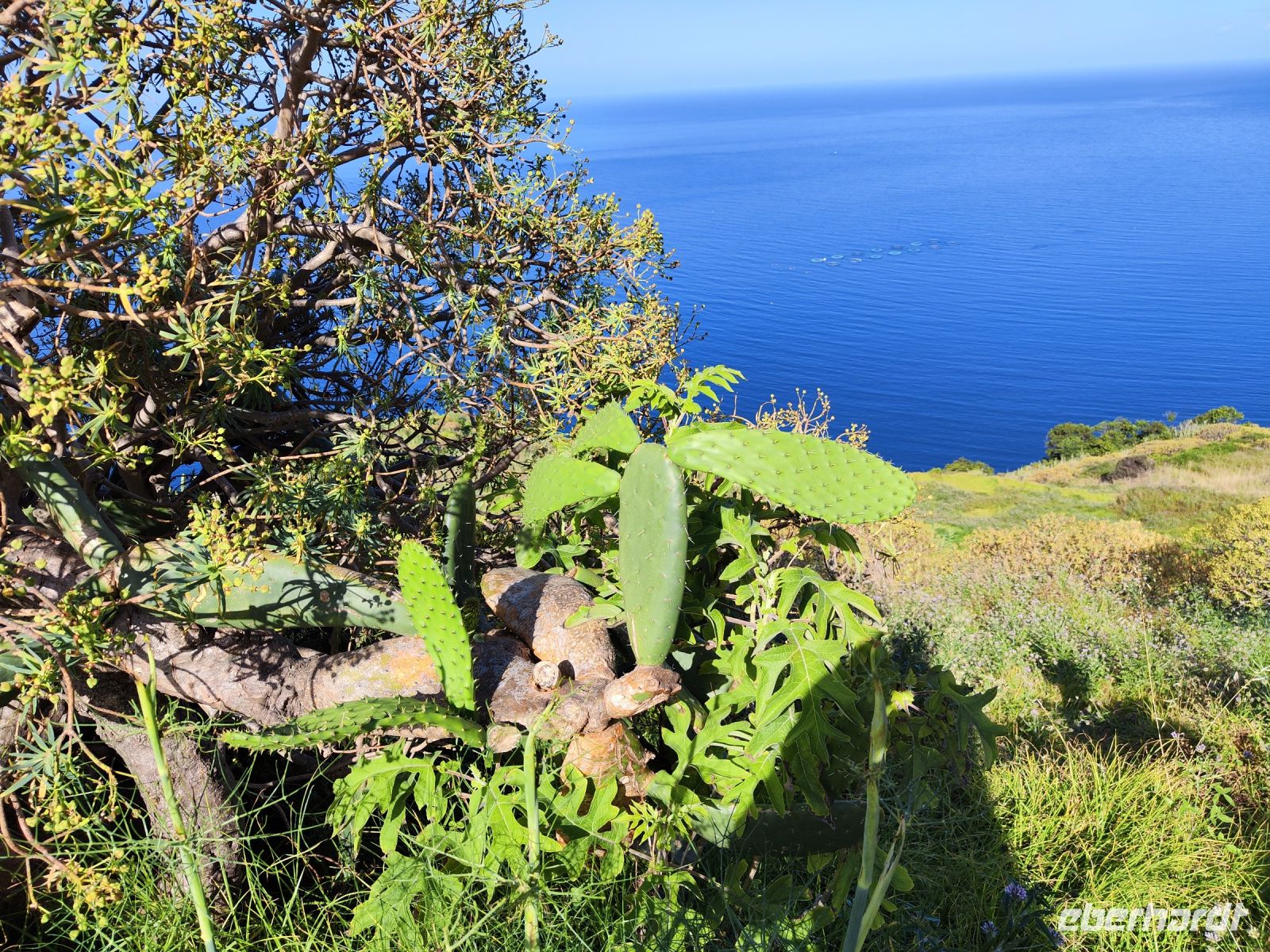 Aussichtspunkt mit Blick auf Magdalena do Mar