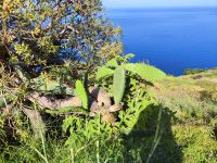 Aussichtspunkt mit Blick auf Magdalena do Mar