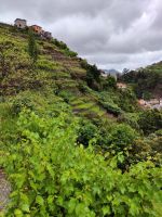 Wanderung Levada von Maracos
