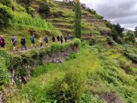 Wanderung Levada von Maracos