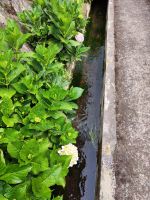 Wanderung Levada von Maracos