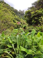Wanderung Levada von Maracos