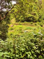 Wanderung Levada von Maracos