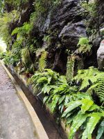 Wanderung Levada von Maracos