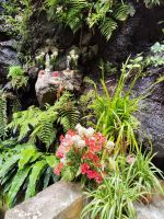 Wanderung Levada von Maracos