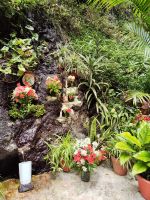 Wanderung Levada von Maracos