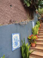 Wanderung Levada von Maracos