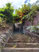 Wanderung Levada von Maracos