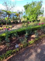 Botanischer Garten von Funchal