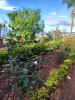 Botanischer Garten von Funchal