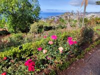 Botanischer Garten von Funchal
