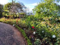 Botanischer Garten von Funchal