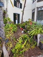 Botanischer Garten von Funchal